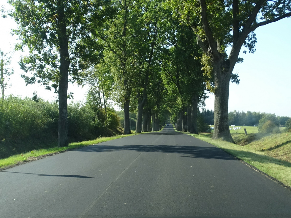 Prowadzimy działania zmierzające do poprawy stanu dróg wojewódzkich (505 i 509) oraz dróg powiatowych w obrębie gminy Młynary.